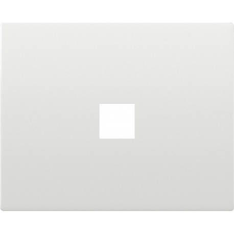 18882 TAPA TOMA TELF. RJ11 (EMB. TORN.)