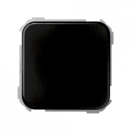 31800-36 PLAQUITA CIEGA