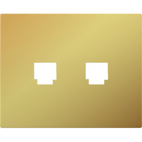 19882-OD TAPA PARA ADAPTADOR DOBLE (RJ11-RJ45)