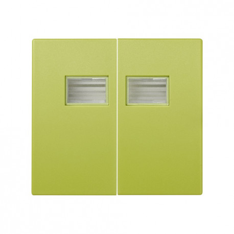 4400026-065 TECLA DOBLE PISTACHO S.44 AQUA