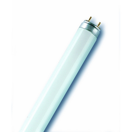 4050300004235 FLUORESCENTE FLUORA 18W/77