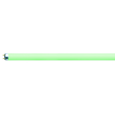 4050300024257 FLUORESCENTE 36W/66 VERDE