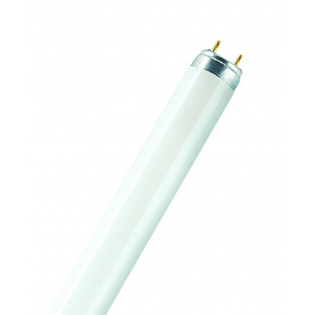 4050300517957 FLUORESCENTE LUMILUX 58W/840