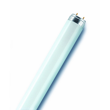 4050300517773 FLUORESCENTE LUMILUX 18W/865 (ANTES 18W/860)