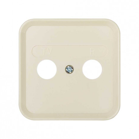 31053-31 PLACA PARA R-TV