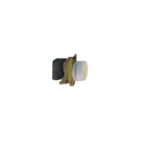XB4BS44 TELEMECANICA XB4BS44