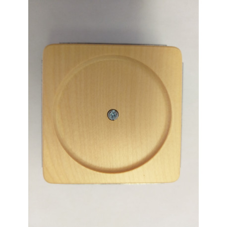 5TG1650 NATUR,TAPA CIEGA,ARCE