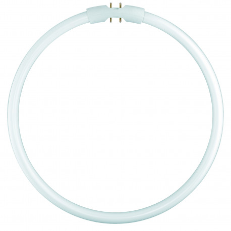 4050300528588 FLUORESCENTE CIRCULAR 55W/840