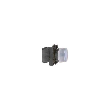 XB5AP61 TELEMECANICA XB5AP61 INTERRUPTOR CON PULSADOR