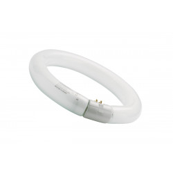5410288019659 FLUORESCENTE CIRCULAR 32W/865 SYLVANIA