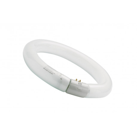 5410288019659 FLUORESCENTE CIRCULAR 32W/865 SYLVANIA