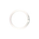 5410288004914 FLUORESCENTE CIRCULAR 40W/765