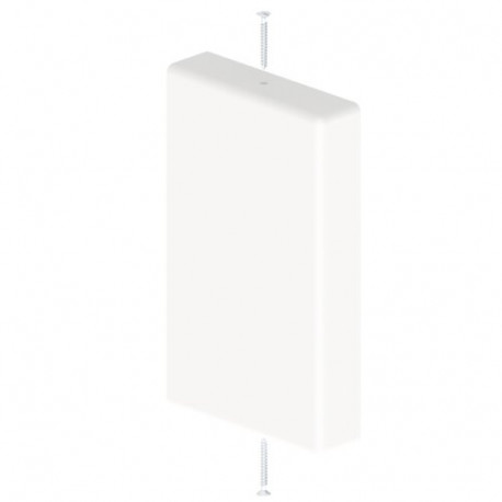 31371-2 TAPA FINAL BLANCO RAL9010 45x75