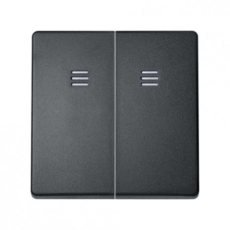 8202025-038 TECLA DOBLE CON LUMINOSO AZUL ANTRACITA