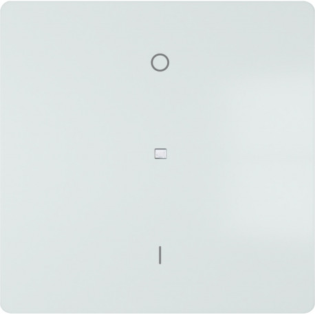 5TG6270-5WH41 TECLA BIPOLAR I/O DIFUSOR BLANCO POLAR