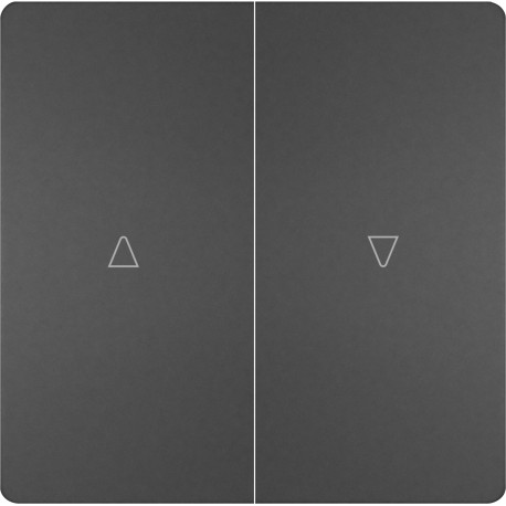 5TG7276-5AC00 TECLA DOBLE PERSIANA ANTRACITA C.