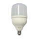 81.795/N/30/DIA BOMBILLA LED 30W E-27 6500K