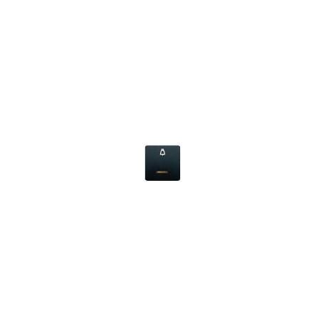17717-ML TECLA ANCHA PULSADOR LUZ CON DIFUSOR
