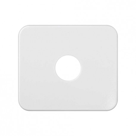 75057-30 PLACA ALTAVOZ/LLAVE