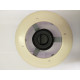 F-50116 FOCO PISCINA 12V PAR-53:300
