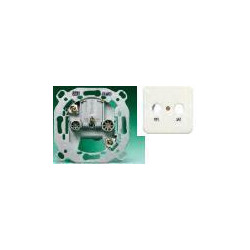 10130-DR PLACA TOMA T.V DORADO CAVA