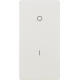 16708 TECLA ESTRECHA INTERRUPTOR BIPOLAR
