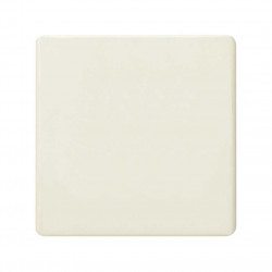 27800-32 PLACA CIEGA