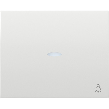 18717-L TECLA PULSADOR LUZ CON DIFUSOR