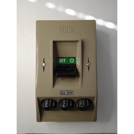 09062 INTERRUPTOR SUPERFICIE III 80A