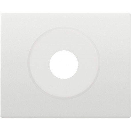 18763 PLACA TOMA ALTAVOZ DIN