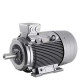 1LG4186-4AA60 MOTOR 22KW-30CV 400/690 B3 PATAS