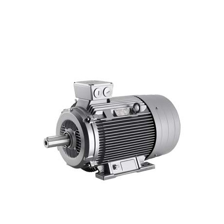 1LG4186-4AA60 MOTOR 22KW-30CV 400/690 B3 PATAS