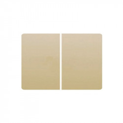 21709-DP JUEGO 2 TECLAS PARA 2 INT./2 CONM./2 PUL